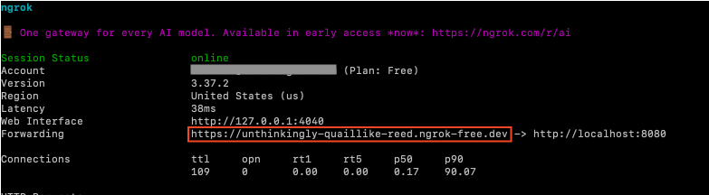 Ngrok URL
